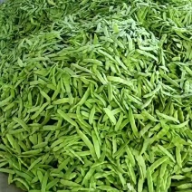 绿油豆，各种油豆
