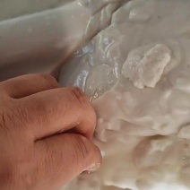 芭蕉芋淀粉