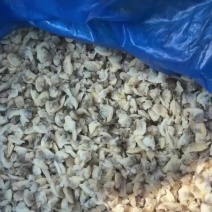 大量各类螺头肉花蛤饲料出售🤝营养价值丰富长速快合适鱼