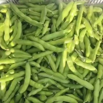 云南大理弥渡蚕豆大量上市