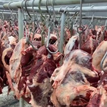 鲜牛肉大量上市现货现发可视频看货欢迎来电咨询