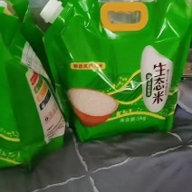 涿州贡米