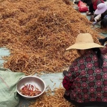 无琉全干无盐白辣椒