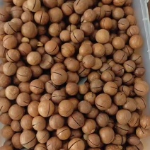 夏威夷果，源头货，电商专业一件代发