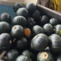 电商贝贝南瓜小果
