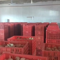 养殖基地中国长寿之乡优质富硒红壳鸡蛋。每天单价不一欢迎采购批