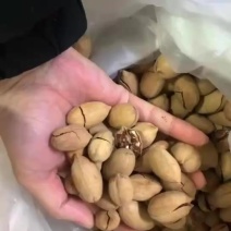 碧根果现货批发量大可谈一斤代发支持各大电商平台