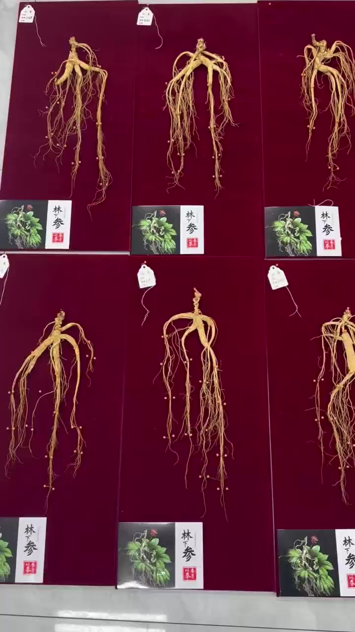 东北野山参多少钱一克？深度解析产地、品种与营养价值- 一亩田