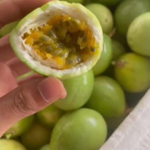 钦蜜九号百香果