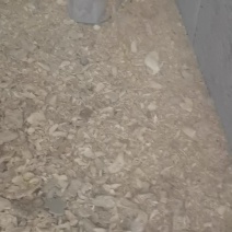 .姜碎末，投送料，姜末粉！碎姜末