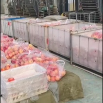 陕北水果