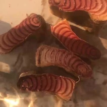 鸡血藤