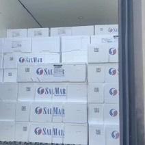 进口挪威三文鱼