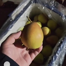 1.20号，产地精品红香酥，有需要精品货的联系