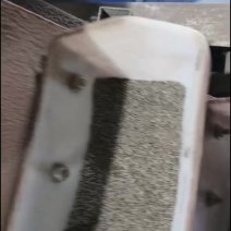 灰苏子