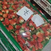甜查理草莓原产地