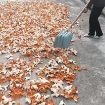 精选大红皮