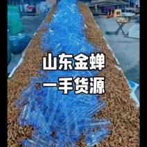 金蝉