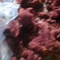 马肉