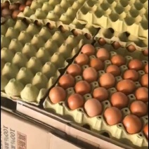 小码鸡蛋