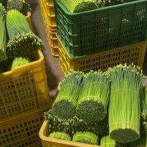 新鲜韭菜苔