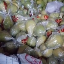 单丛茶，鸭屎香2026年头春干茶