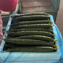 兰陵县精品黄瓜大量上市