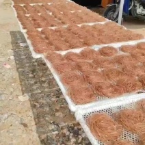 高品质红薯粉条，有需要老板