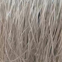 自家的红薯淀粉加工的合折丝，欢迎各位大佬