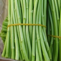 湖北阳新芦蒿！鲜香脆嫩、质量上乘！欢迎品鉴！