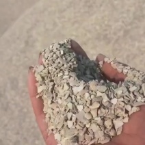 东北高钙水洗贝壳粉
