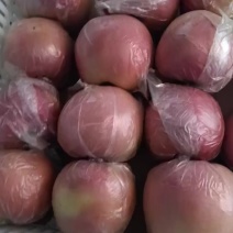 河疃红富士苹果个大色好价格不贵
