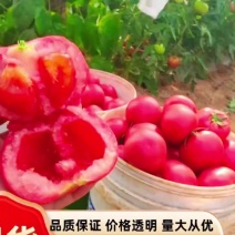 【实力商家】诚信经营【产地直发】量大从优【超市直供】硬粉