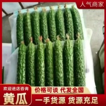 【实力商家】产地直发【货源充足】品质甄选【物流全国】黄瓜