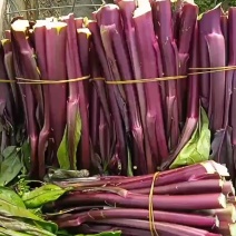 菜苔。
