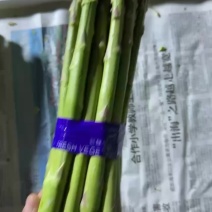 崇明生态芦笋