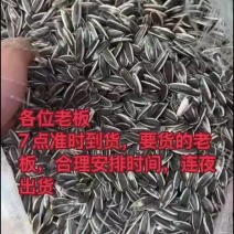 葵花籽