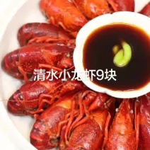 对小龙虾9块，液氮清水小龙虾9块，#分享舌尖