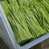**精品白菜价格来聊