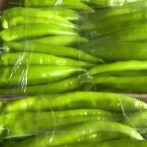 新鲜尖椒大量供应