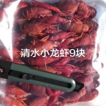清水小龙虾9块，液氮锁鲜清水小龙虾9块清水小龙虾