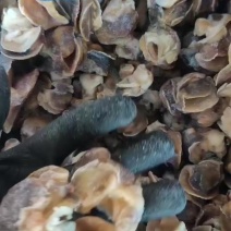 香螺肉