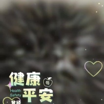 圆圈紫菜饼有需要各位老板联系我[握手]