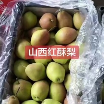 山西红香酥梨欢迎大家来品尝***********7