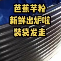 云南芭蕉芋湿淀粉，基地直发对接加工厂全国发货