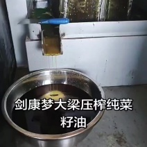 剑康梦大梁压榨纯菜籽油
