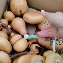 工艺葫芦