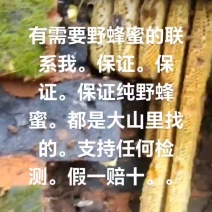 江西土蜂蜜。保证纯野生蜂蜜。有需要的老板联系。价格实惠。