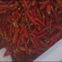 满天星，朝天椒