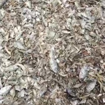 /宠物猫猫狗狗乌龟猫粮都有，价格便宜，十成干